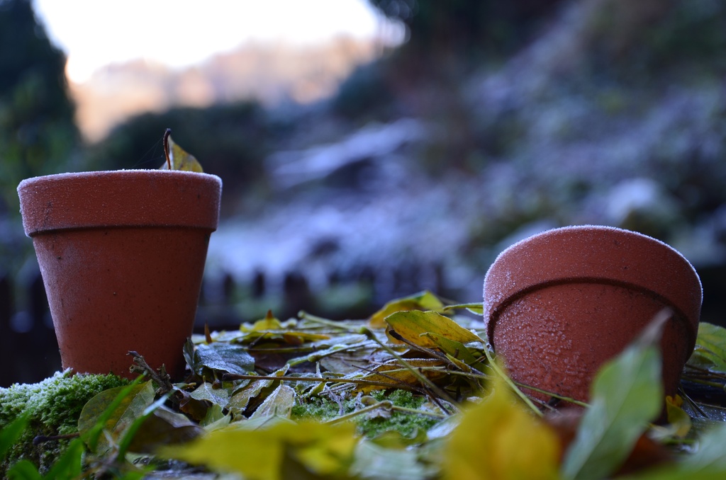 2016-12 France/Dinan/DSC_0131.JPG